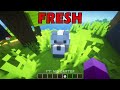 Java Vs Fresh Animations In Minecraft