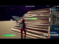 fortnite with my bro*