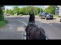 Trouble Concentrating - with Kizzy the Fell Pony