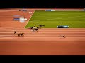 Animals and Humans Speed Comparison: Living and Extinct | 100m Final: The Fastest Animals and Man