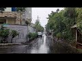 walking in the rain around our settlement | the sound of rain for those who have trouble sleeping