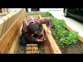 Raised Bed Planter Bench | How to | Plans