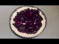 Blueberry Cheesecake/ No Bake Blueberry Cheesecake/ Delicious Blueberry Cheesecake