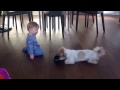 Baby playing with puppy, so cute