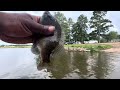 Found Them Bluegill Fishing Off The Bank  At The Ross Barnett Resovoir #mississippi #fyp