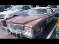 1975 Cadillac eldorado  convertible… in the wild