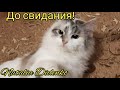 Секонд Хенд. Доступная мода. Теплые вещи.