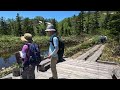 【栂池自然園】2023.6.17 高山植物が咲き乱れる白馬三山と白馬大雪渓の大展望台はまさに天空の楽園！