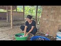 Harvesting jackfruit to sell at the market - Happiness with a bamboo bed for children/Le Thi Vui