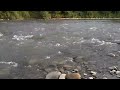 Relaxing river sounds, Suceava river (Romania).