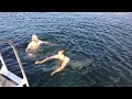 Swimming In The North Sea