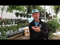 Neptunes Harvest Fish Fertilizer