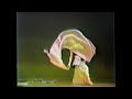 Cairo on The James 1988 / Double Veil / Belly Dance Connecticut / Riskallah Riyad