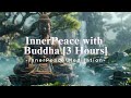 [Playlist] 3 Hours | Inner Peace Meditation with Buddha