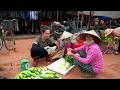 FULL VIDEO: Harvest Figs, Melons, and Cassava in the Garden Goes to Market Sell, Taking Care of Pets