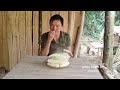 Robert's cassava is delicious. City people love it. Green forest life (ep248)