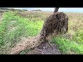 LIMPANDO VALETA DE ESCOAMENTO DA LAVOURA 🌾 Escavadeira hidráulica ( ep 2 )