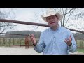 Booger's Journey: Road to the Horse | The Cowboy Way