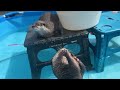 Otter Feels Awkward Looking at His Own Baby Photos