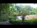 Trivandrum Zoo - Finding a secluded and peaceful area