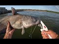 I Thought I SNAGGED a ROCK, Then It Tried To Break My Arm!!! - (Spillway Monsters!!!)