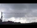 Birds Flying Away