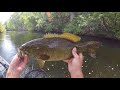 Whopper Ploppin' Some River Chunks