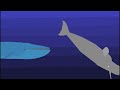 Blue Whale vs Sperm Whale