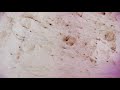 James Blunt - Halfway [Official Lyric Video]
