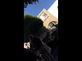Woman gets a ticket in Beverly Hills😡😡😡😡
