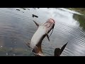 THE KANSAS ANGLER CATFISH ON BOBBER  NIGHTCRAWLER WORM RIVER FISHING WADING IN THE MIDWEST