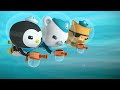 @Octonauts - 🦦 Cutest Baby Sea Creatures 🐬 | 2 Hours+ Full Episodes Marathon | Explore the Ocean