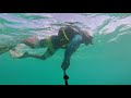 Amazing Snorkeling | Mullet Bay St.Maarten