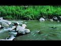 Relaxation Sound river make the soul calm Gurgling River Water 으르렁 거리는 강물 for Insomnia