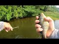 bluegill fishing with crickets pt1