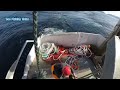 Amazing big catch fishing in the sea - Fastest Catch Hundreds Tons of Fish With Modern Big Boat