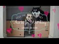 Dogs Fit Through Hole Challenge! Will They Fit?! FUNNY SUBTITLES! Zeus The Greedy Husky