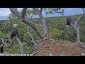 AEF NEFL Eagles ~ GREAT NEWS! GABBY HAS RETURNED! REUNITED WITH BEAU! 🎉 💕 🎉 9.4.24