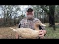 Pintail Duck Wood Carving part 5 Burning Feather Detail