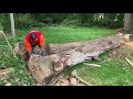 FIREWOOD | Mike fells & bucks up large ash tree stub