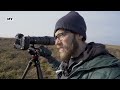 Photographing OWLS using Nikon Z9 | Camera Settings to get SHARP images | Wildlife Photography