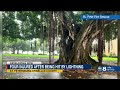 4 hurt in lightning strike in St. Petersburg