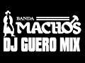 BANDA MACHOS MEGAMIX DJ GUERO MIX