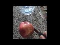Cutting apples and eating them