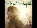 Street Stupid - Drews Album Four