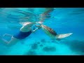 Swimming with the beautiful sea turtle || Snorkeling in the Philippines || Summer getaway ||