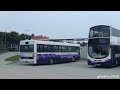 Buses in Discovery Bay, Hong Kong 2016