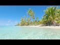 French Polynesia Tropical Island Background Video