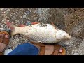 Tarbela Dam Haripur kpk Pakistan Fishing Video