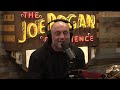 Joe Rogan Experience #1976 - James Fox